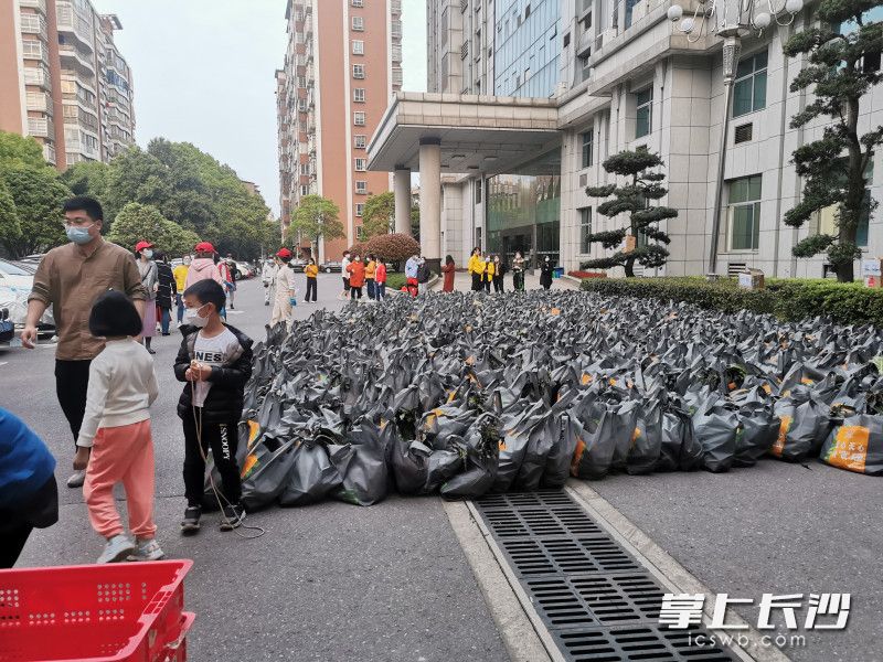 780份蔬菜包送到了湘林小区院内。长沙晚报实习生 罗杨 摄